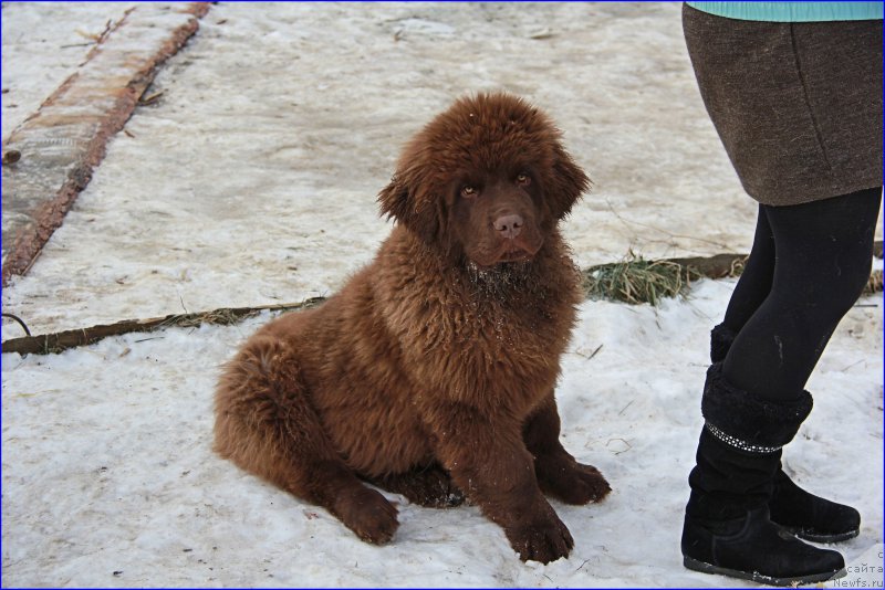 Фотография № 169384