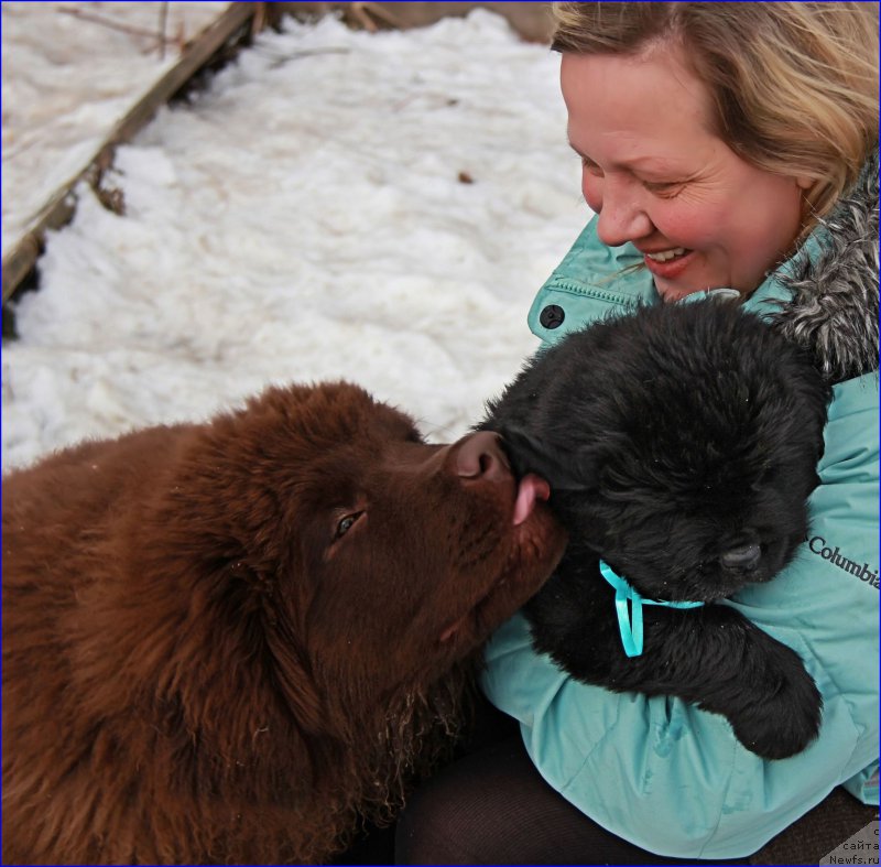 Фотография № 169385