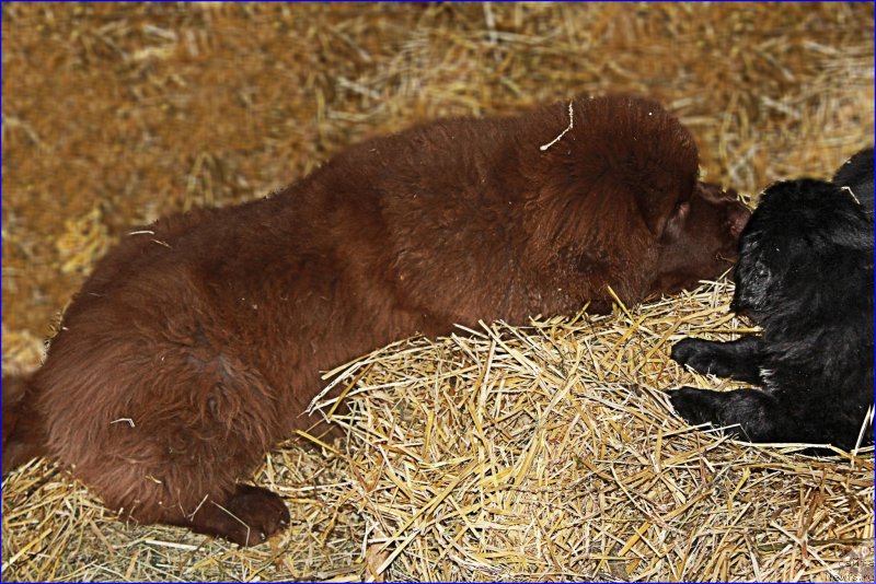 Фотография № 169389