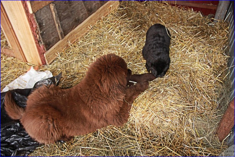 Фотография № 169390