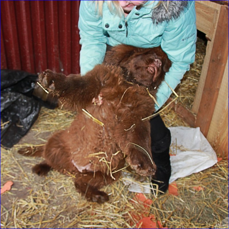 Фотография № 169391