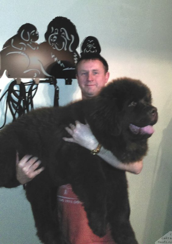 Фотография № 169398