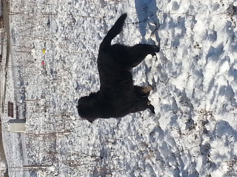 Фото: Татьяна Тетюрикова