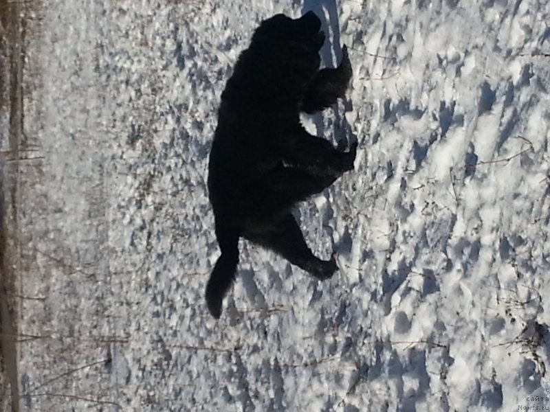 Фото: Татьяна Тетюрикова