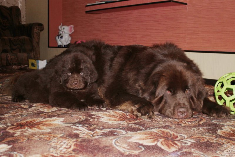 Фотография № 169420