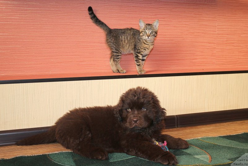 Фотография № 169422