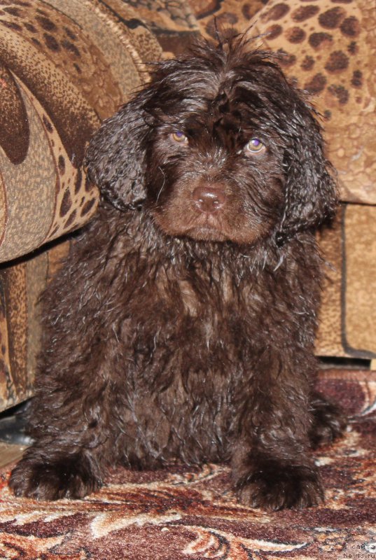 Фотография № 169424