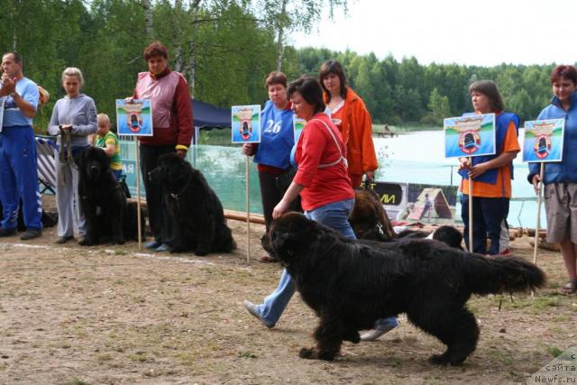 Фотография № 16943