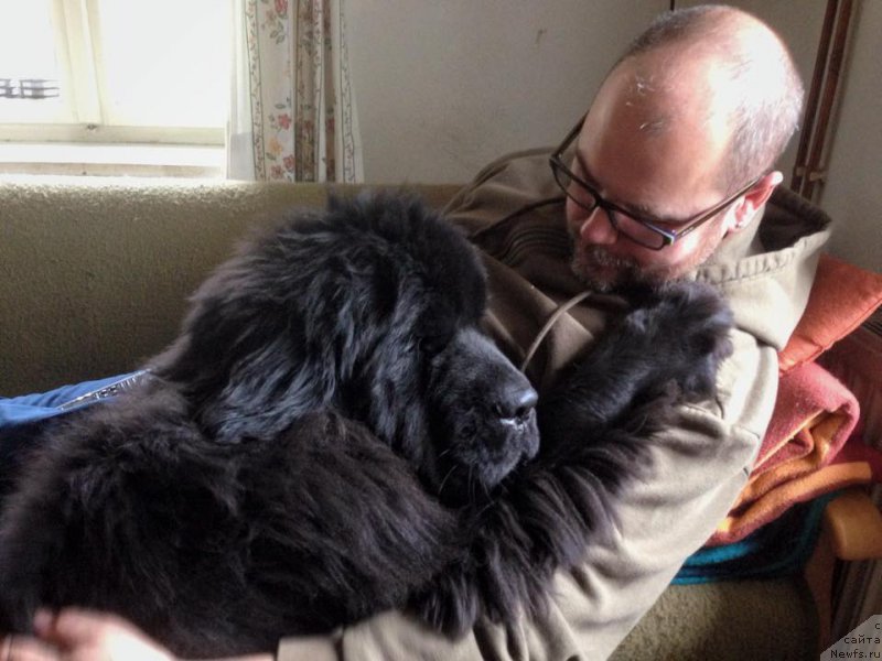 Фотография № 169449