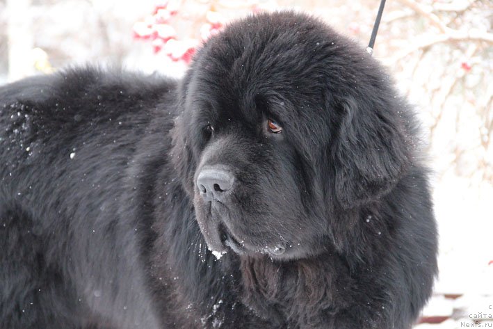 Фотография № 169454