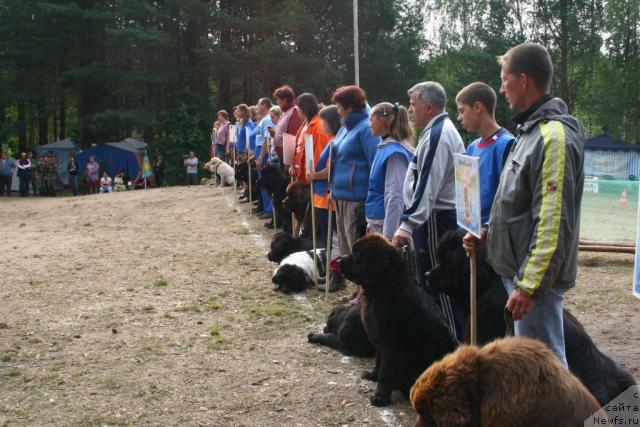 Фотография № 16946