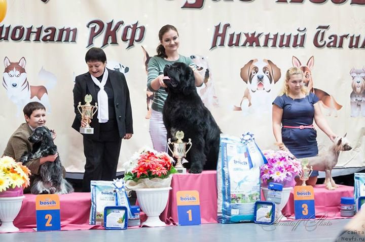 Фотография № 169469