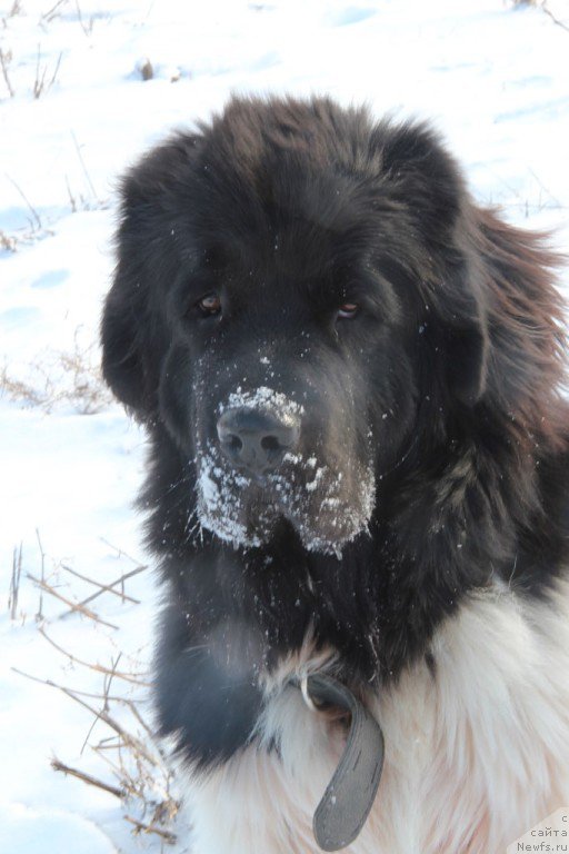 Фотография № 169471