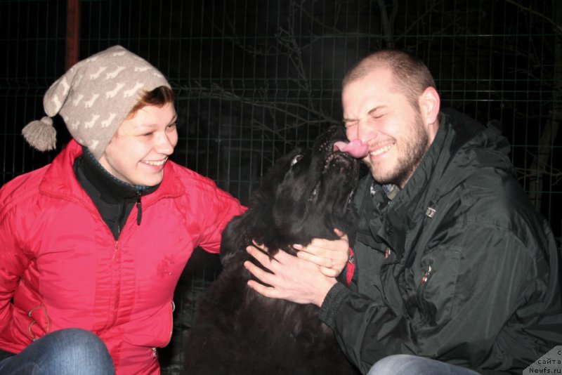 Фото: ньюфаундленд Черная Мафия Шродингер Тхеору (Chernaya Mafia Shrodinger Theory), Ольга Соболева