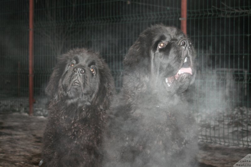 Фотография № 169476