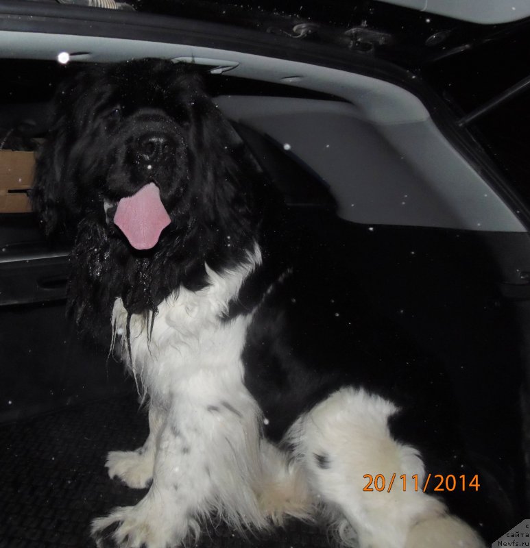 Фотография № 169493