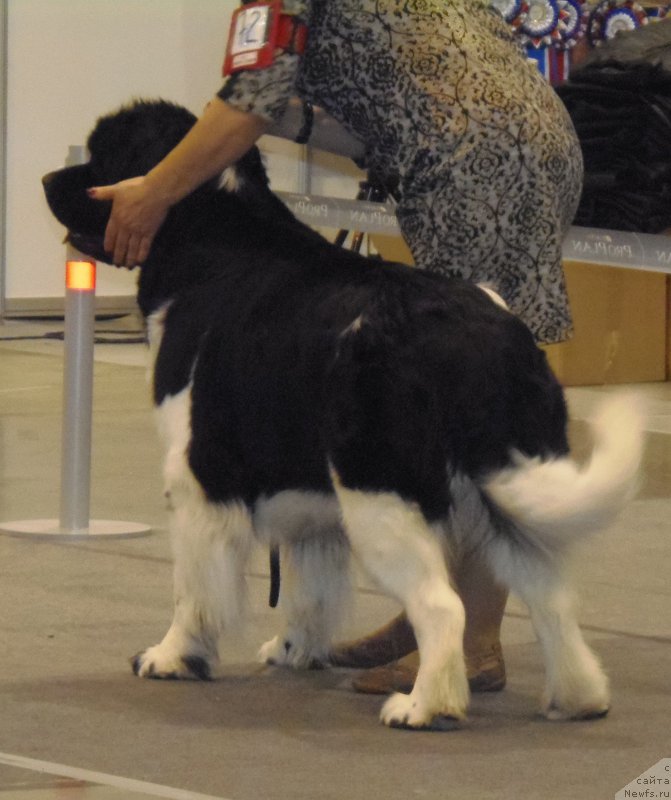 Фотография № 169494