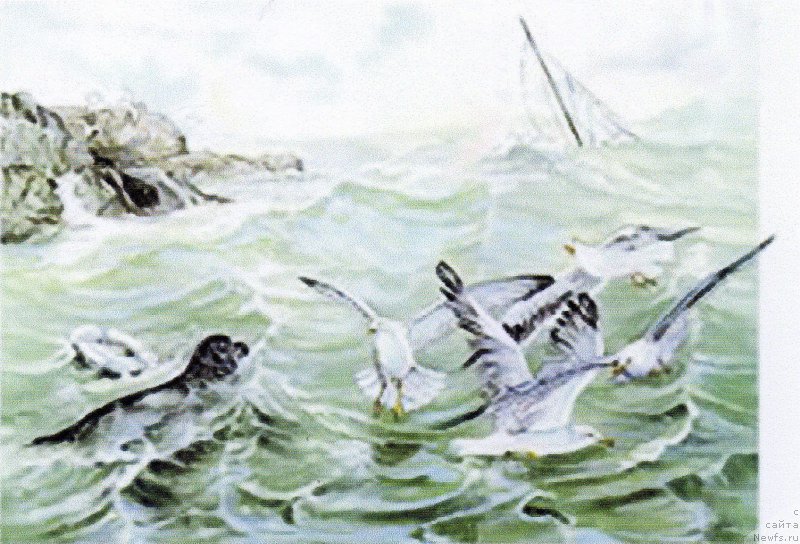 Фотография № 169503