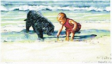 Фотография № 169504