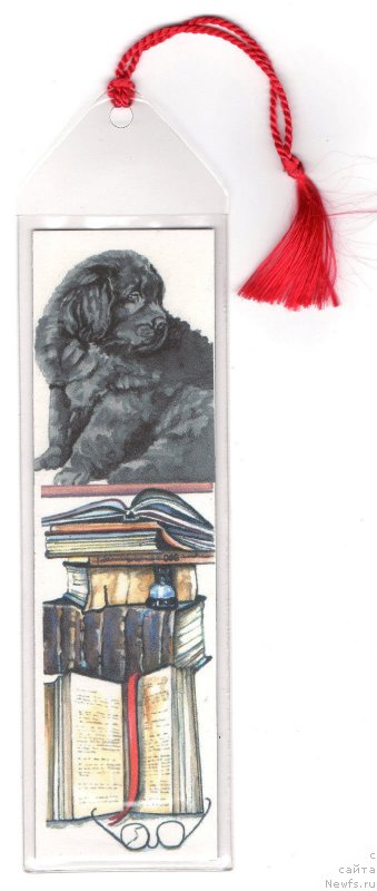 Фотография № 169505