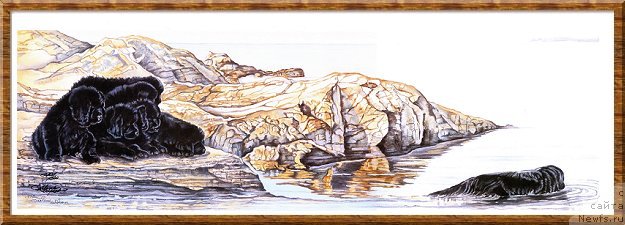 Фотография № 169508