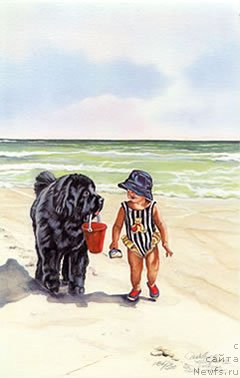 Фотография № 169509