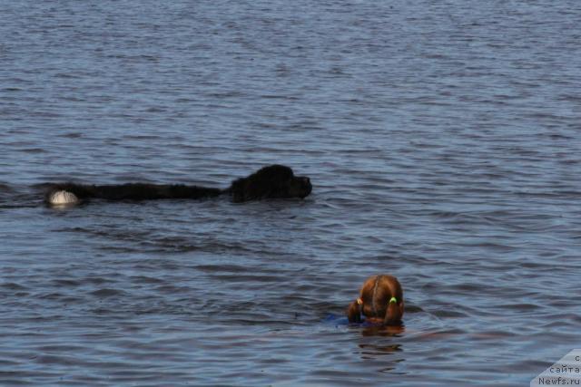 Фото: Катеринка Классен