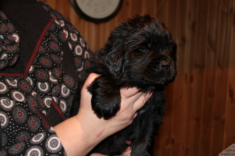 Фотография № 169547