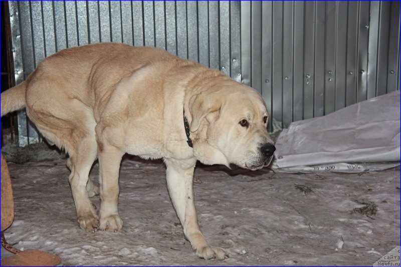 Фотография № 169552