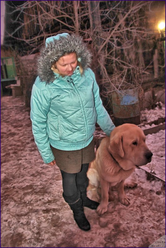 Фотография № 169554