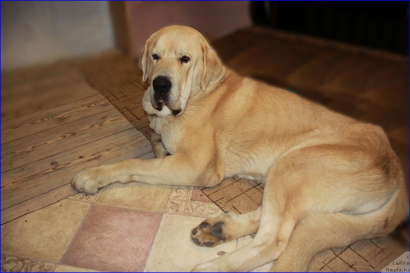 Фотография № 169555