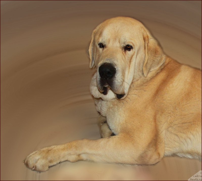 Фото: Лена Зырина, ФРАНКО