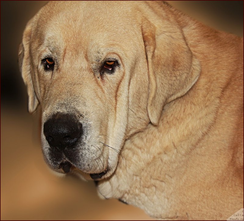 Фотография № 169560