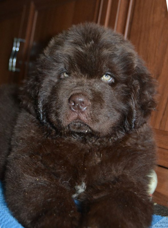 Фотография № 169575