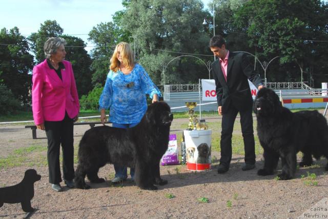 Фотография № 16958