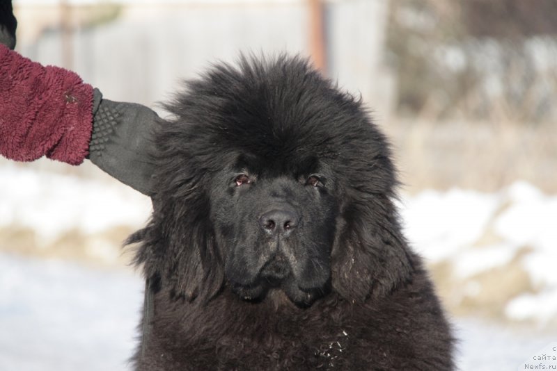 Фотография № 169580