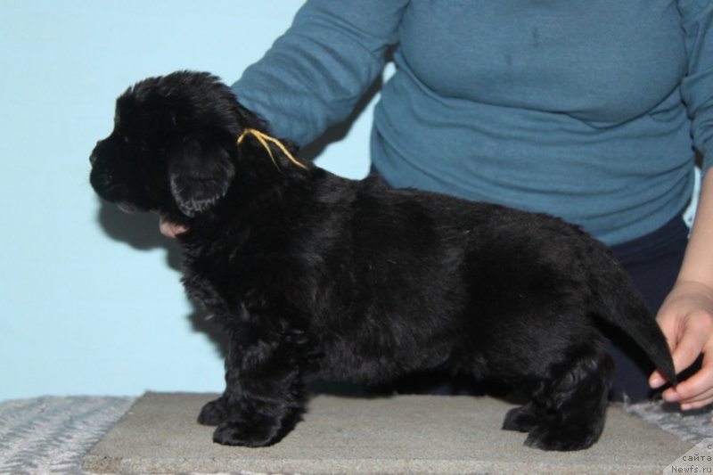 Фото: Акватория Келвин Баккара