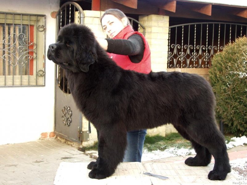 Фотография № 169612