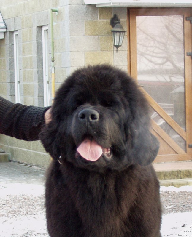 Фотография № 169615