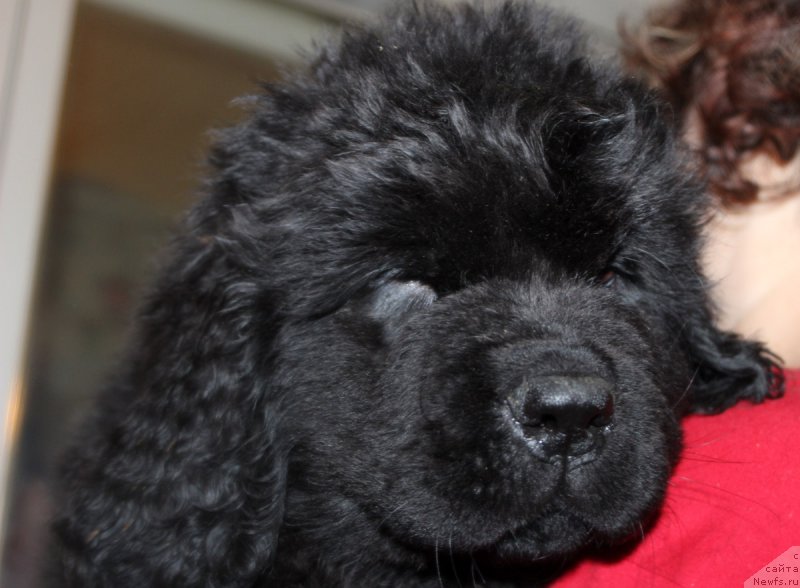 Фотография № 169635