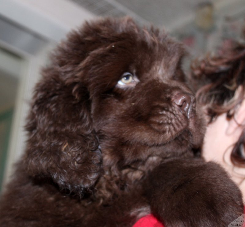 Фотография № 169636