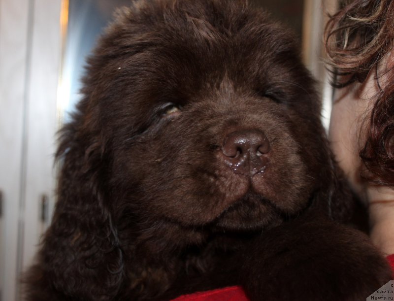 Фотография № 169637