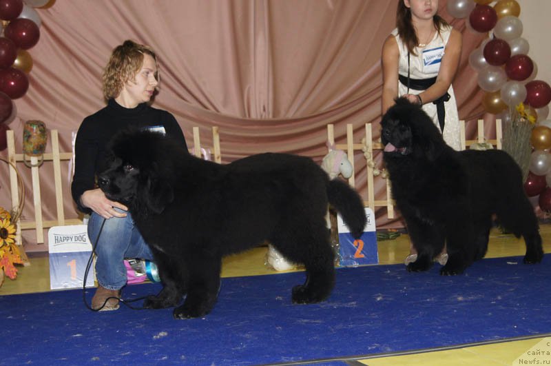 Фотография № 169639