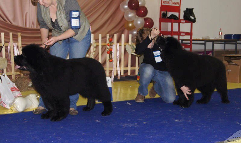 Фотография № 169642