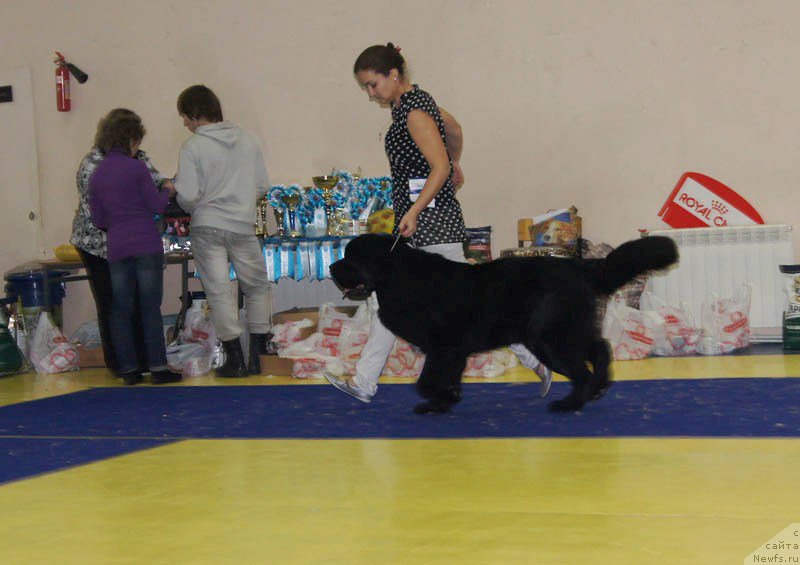 Фотография № 169644