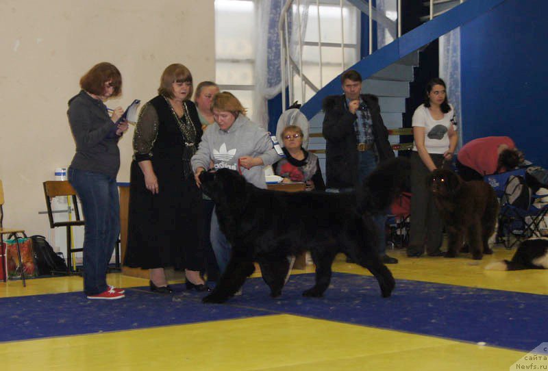 Фотография № 169645