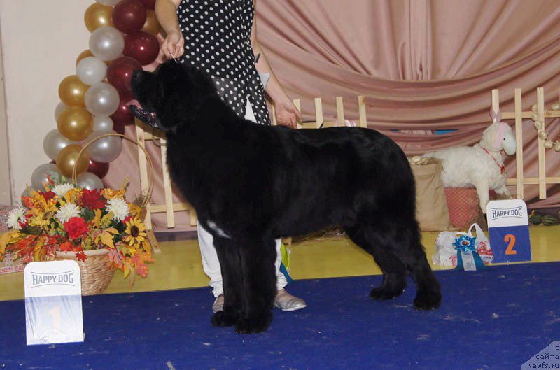 Фотография № 169646