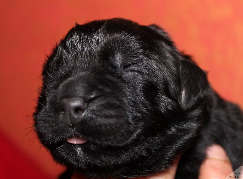 Фотография № 169651