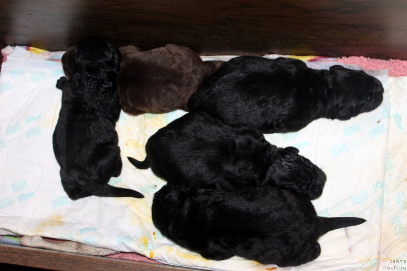 Фотография № 169652