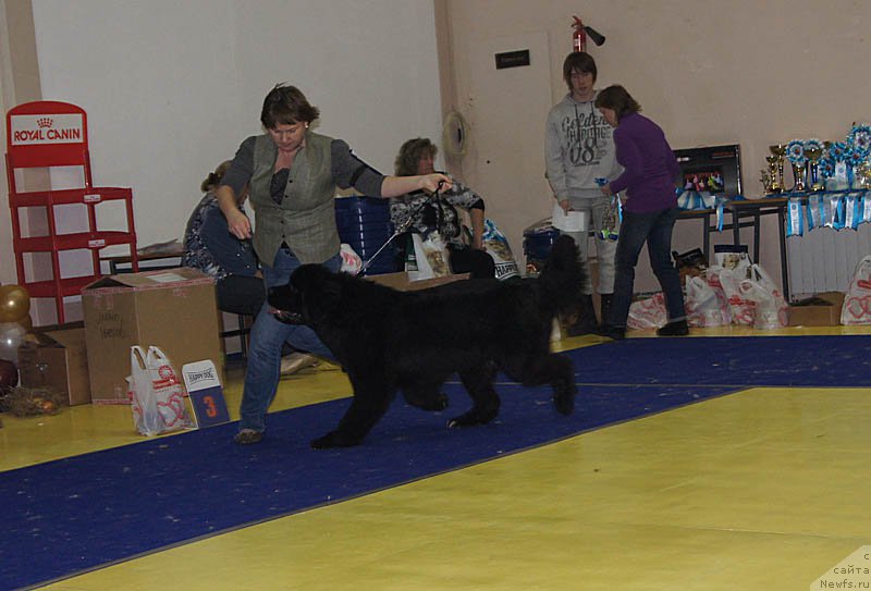 Фотография № 169653